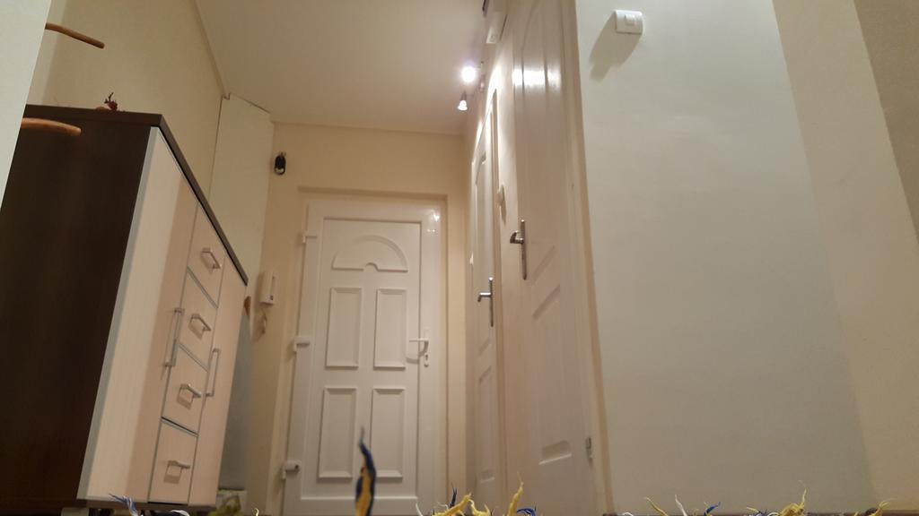 Aquarius Apartman Szeged Bagian luar foto