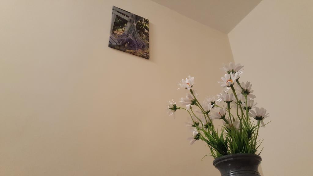 Aquarius Apartman Szeged Bagian luar foto