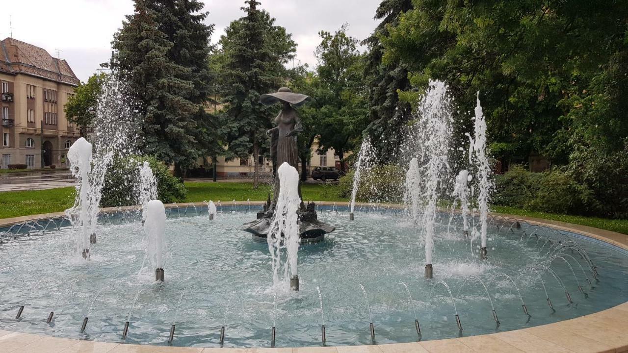 Aquarius Apartman Szeged Bagian luar foto
